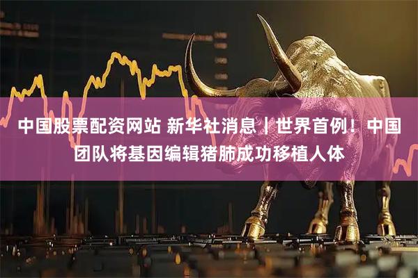 中国股票配资网站 新华社消息｜世界首例！中国团队将基因编辑猪肺成功移植人体